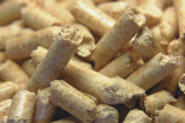 Biomass wood pellets